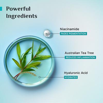 Pilgrim Tea Tree PURIFYING TONER 100 ml - Toners