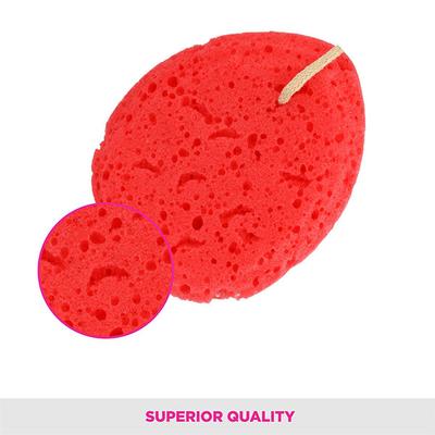 Vega Sea Bath Sponge (BA - 3/15) 25 gm - Loofahs & Sponges