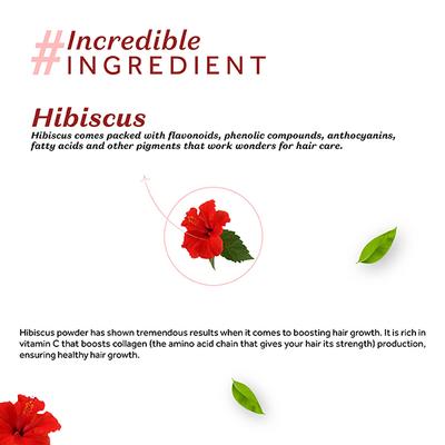 Atulya Hibiscus Organic Powder 100 gm - Conditioners