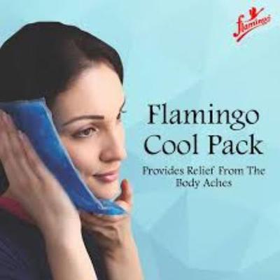 Flamingo Cool Ice Pack - (HC - 1004) Regular - Hot Pack/Ice Bag