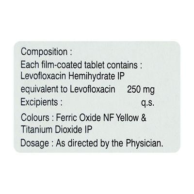 Qure 250mg Tablet 10'S - Bacterial Infections-Qui