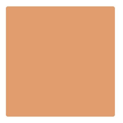 Bonjour Paris Photo Match Crayon Concealer - Cool Tan 3.2 gm - Concealer