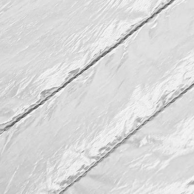 Colorbar Sheen Pouch Small - Silver 28.5 gm - Makeup Pouches