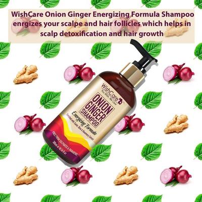 WishCare Onion Ginger Shampoo - Onion Shampoo for Hairfall Control - Paraben and Sulphate Free 300 ml - Shampoos