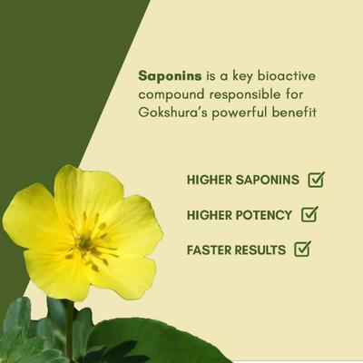 Rasayanam Tribulas Gokhru-60 1000 MG Tablets 60's - Workout Essentials