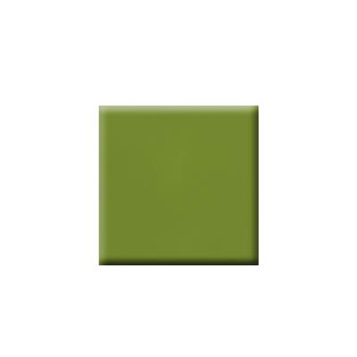 Colorbar Vegan Nail Lacquer-Bitter-082 8 ml - Nail Polish