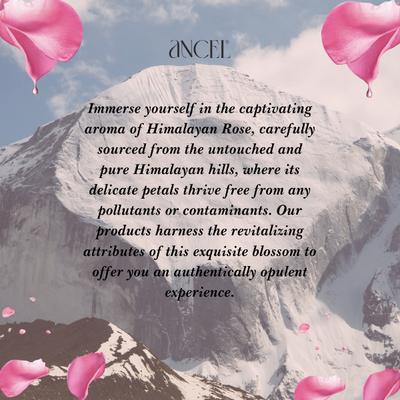 Ancel Himalayan Rose Shampoo 300 ml - Shampoos