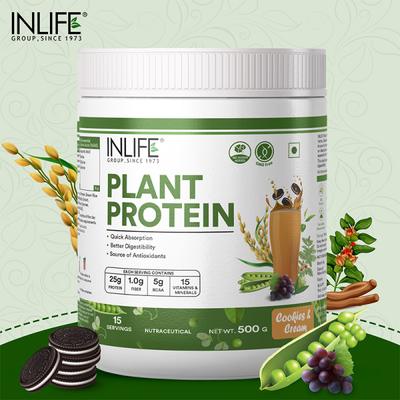 Inlife Plant Protein Powder - Cookies & Cream 500 gm - Protein Drink