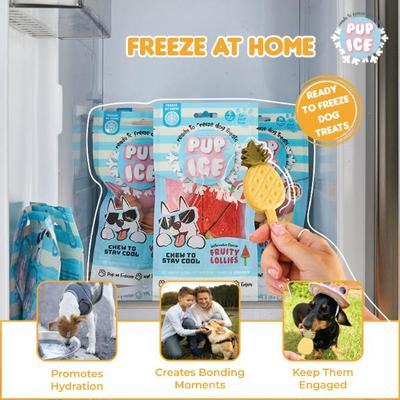 Pup Ice Fruity Lollies Pineapple 90 g - Petfood