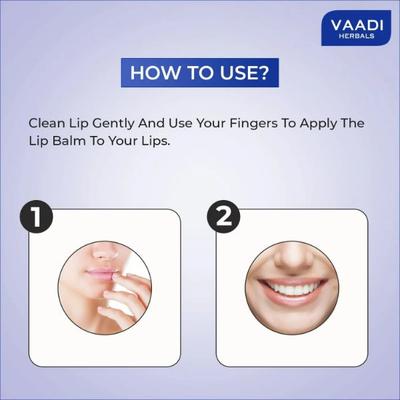 Vaadi Herbals Lip Balm - Blueberry 10 gm - Lip Balms