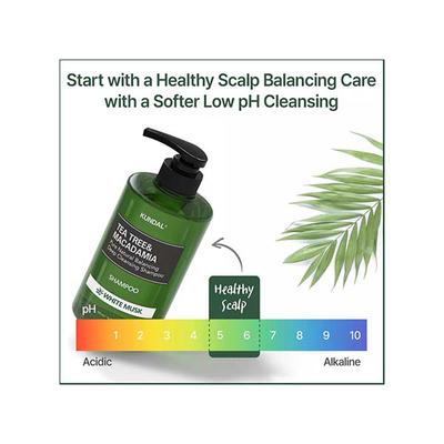 Kundal Tea Tree and Macadamia Deep Cleansing Shampoo White Musk 500 ml - Shampoos