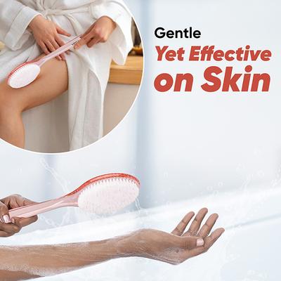 Vega Bath Body Brush With Long Handle For Men & Women, Exfoliating Brush For Deep Cleansing (Ba-1/3) - Body Scrubbers & Brushes