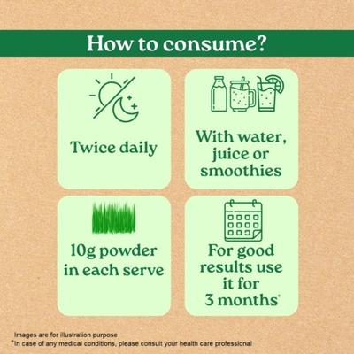 Organic India Wheat Grass Powder 100 gm - Speciality Medicines