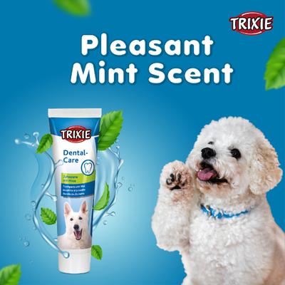 Trixie Dog Toothpaste with Mint 100 gm - Pet Grooming
