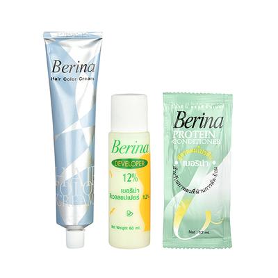 Berina A17 Blonde Hair Color Cream 60 gm - Crème