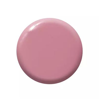 Colorbar Sisters Secret - (607) 12 ml - Nail Polish