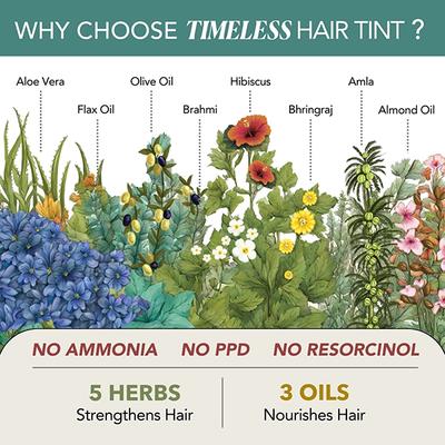 Paradyes Natural Black Timeless Permanent Creme Hair Colour for Grey Coverage, 1.0 Natural Black 160 gm - Crème