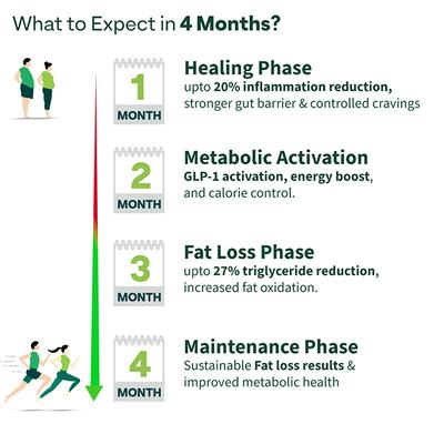 OZiva+ Advanced Metabolic Gut-Fit for Gut & Metabolic Heath 60's - Digestive Health