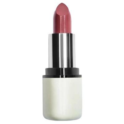 asa Cream Lipstick - Tender Tulip C31 1.8 gm - Lipsticks
