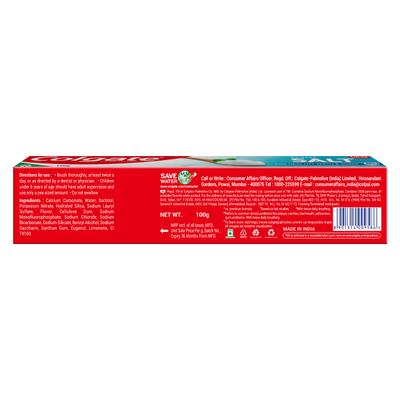 Colgate Active Salt Toothpaste 100 g (Plus 10g) - Toothpaste