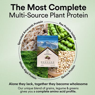 Wellbeing Nutrition Superfood Plant Protein Powder - Italian Cafe Mocha 500 gm - Protein Drink