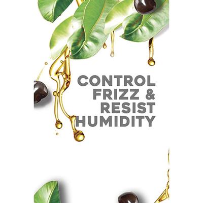 Ogx Hydrate & Defrizz Kukui Oil Shampoo 385 Ml - Shampoos