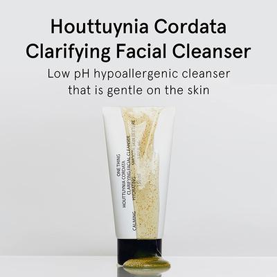 One Thing Houttuynia Cordata Clarifying Facial Cleanser 150 ml - Face Wash & Cleansers