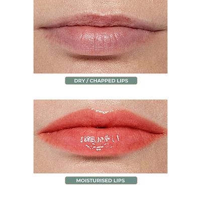 Organic Harvest Strawberry Non Colored Lip Balm 8 gm - Lip Balms