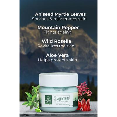 Organic Harvest Activ Mountain Leave-in Jelly Mask 50 gm - Masks & Peels