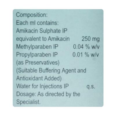 MIKACIN 1000 Injection 4ml - Bacterial Infections-Ami