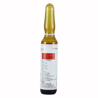 CPINK S 100 Injection 5ml - Iron Supplement/Anaemia-Vma