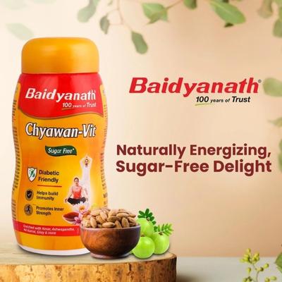 Baidyanath Sugarfree Chyawan Vit Powder 500 gm - Chyawanprash