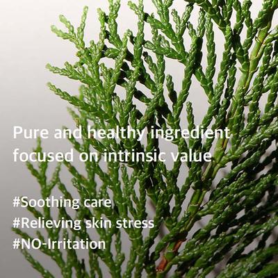 Mixsoon Hinoki Essence 100 ml - Face Serum