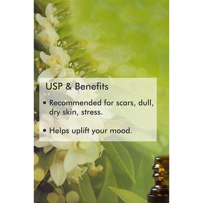 Organic Harvest Essential Oil - Neroli 10 ml - Essential Oils