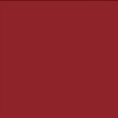 PAC Moody Matte Lipstick Comfortable 12H Wear Smudgeproof Transferproof Formula - Date Night (1.6 g) - Lipsticks