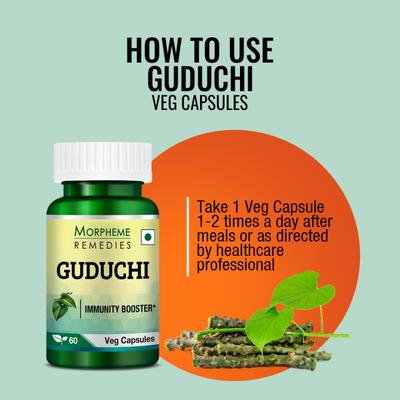 Morpheme Remedies Guduchi (Tinospora Cordifolia) 500mg Extract Veg Capsule 60's - Herbal Dietary Supplement