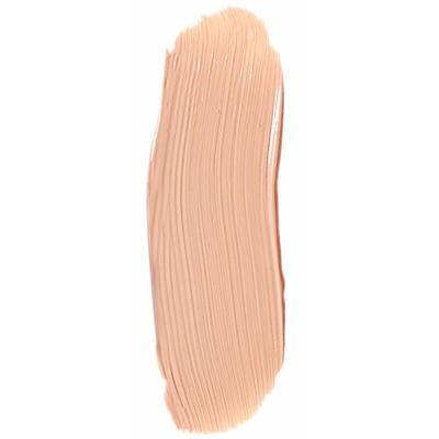 Matt Look Perfect Oil Free Concealer, Face Makeup, Accentuate 8 gm - Concealer