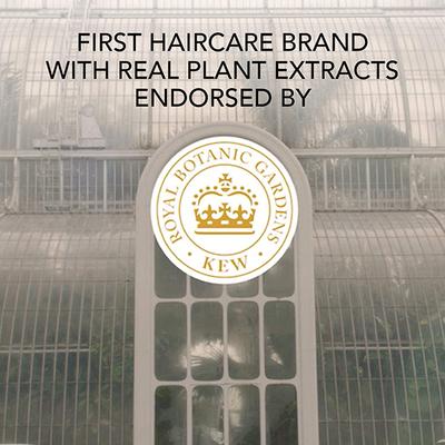 Herbal Essences Real Aloe & Bamboo Shampoo For Soft Smooth Hair Sulfate and Paraben Free 400 gm - Shampoos