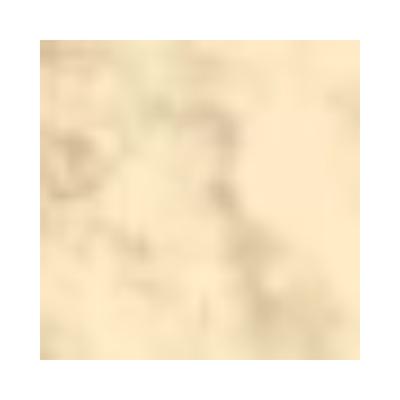 Pac Translucent Powder 12 Feather Soft All Natural Finish 10gm - Loose Powder