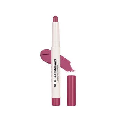 Swiss Beauty Lip Crayon - Flemingo 1.5 gm - Lip Crayons