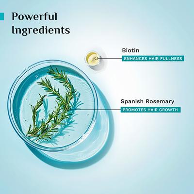 Pilgrim Spanish Rosemary & Biotin Hair Growth Oil to Controls Hair Fall & Strengthens Hair 100 ml - Hair Oils