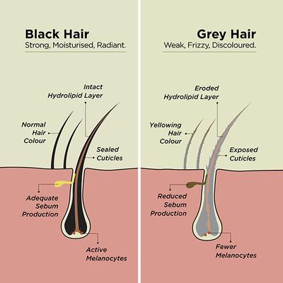 Amazing Greys Daily Uv Shield Serum Styles and Protects 75 ml - Hair Serums