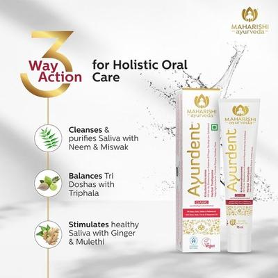 Maharishi Ayurveda Ayurdent Classic Ayurvedic Herbal Toothpaste 75 ml - Personal Care (Ayush)
