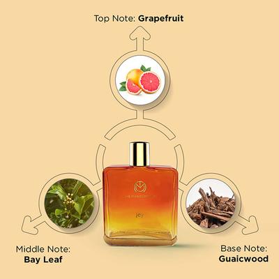 The Man Company Eau De Parfum- Joy (100 ml) 100 ml - Men Perfumes (Edt/Edp)