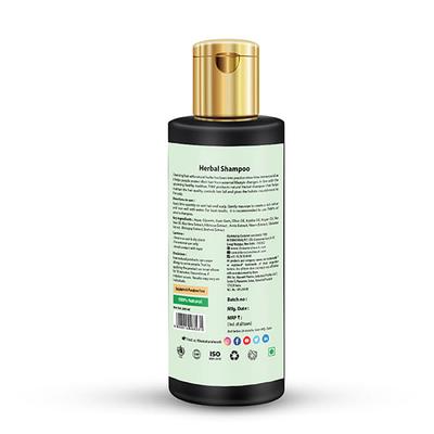 The Natural Wash Herbal Shampoo For Hair Fall Control With Exotic Nourishing Herbs 200 Ml - Shampoos