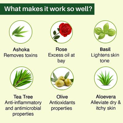 Aryanveda Tea Tree Face Wash - Neem Aloevera (Pack of 2 x 120 ml) - Face Wash & Cleansers