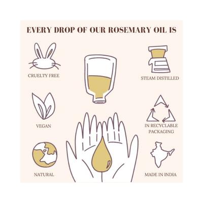 Essentia Extracts Rosemary Essential Oil 15 ml - Essential Oils