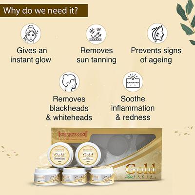 Aryanveda Spa Facial Kit - Gold 210 gm - Facial Kits