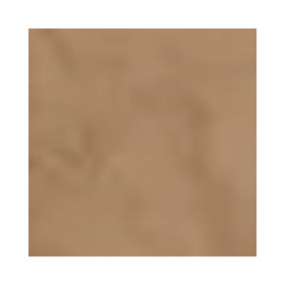 PAC Translucent Powder 07 10 gm - Loose Powder