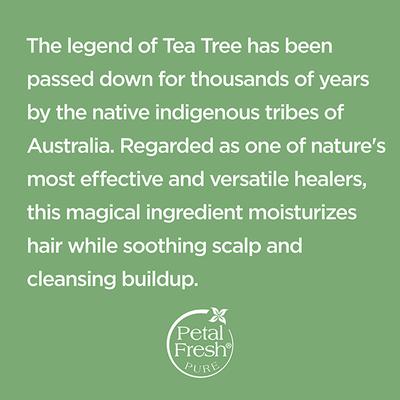 Petal Fresh Scalp Treatment Tea Tree Shampoo 355 ml - Shampoos